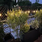 Petit Cocon Des Rives Proche Stanislas-terrasse & Parking Gratuit נאנסי