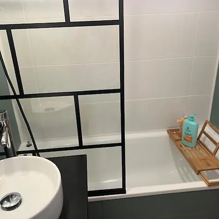 Apartment Petit Cocon Des Rives Proche Stanislas *