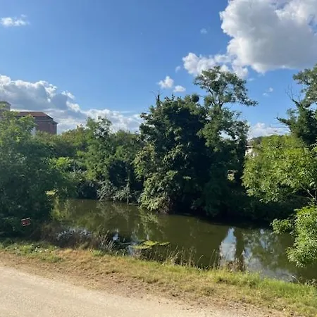 Petit Cocon Des Rives Proche Stanislas Nancy