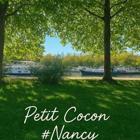 Lägenhet Petit Cocon Des Rives Proche Stanislas *