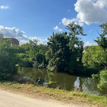 Petit Cocon Des Rives Proche Stanislas Apartment *