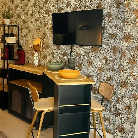 Lägenhet Petit Cocon Des Rives Proche Stanislas *