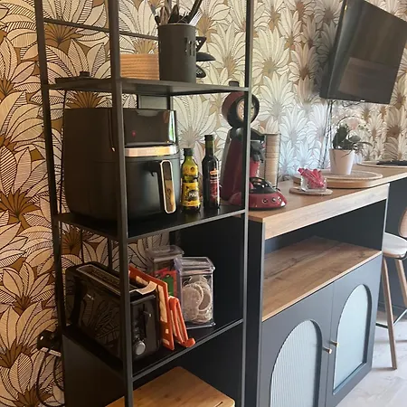 Petit Cocon Des Rives Proche Stanislas-terrasse & Parking Gratuit * Nancy