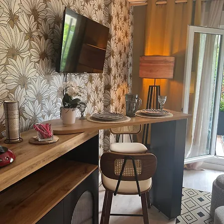 Petit Cocon Des Rives Proche Stanislas Lägenhet Nancy