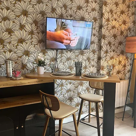 Petit Cocon Des Rives Proche Stanislas-terrasse & Parking Gratuit נאנסי