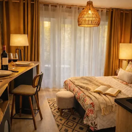 Petit Cocon Des Rives Proche Stanislas * 낭시