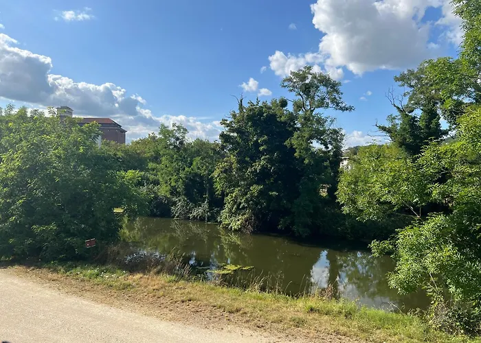 Petit Cocon Des Rives Proche Stanislas Apartment *