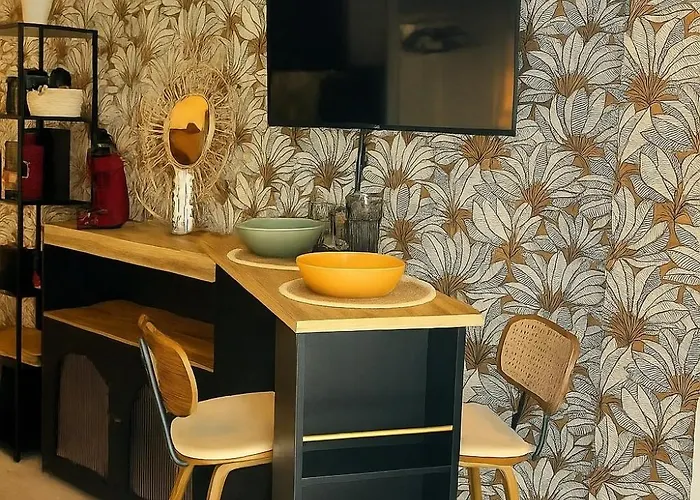 Petit Cocon Des Rives Proche Stanislas ナンシー