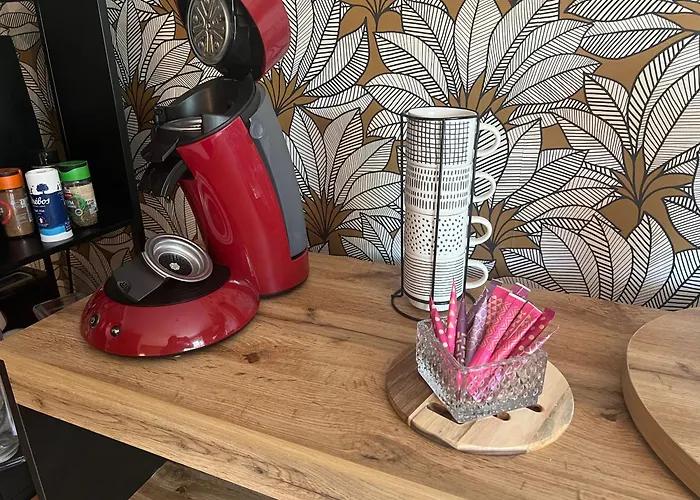 Appartamento Petit Cocon Des Rives Proche Stanislas-terrasse & Parking Gratuit