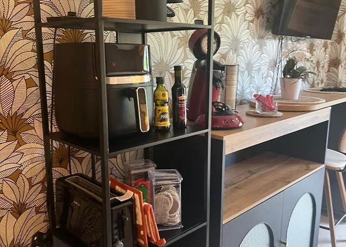 Petit Cocon Des Rives Proche Stanislas * ナンシー