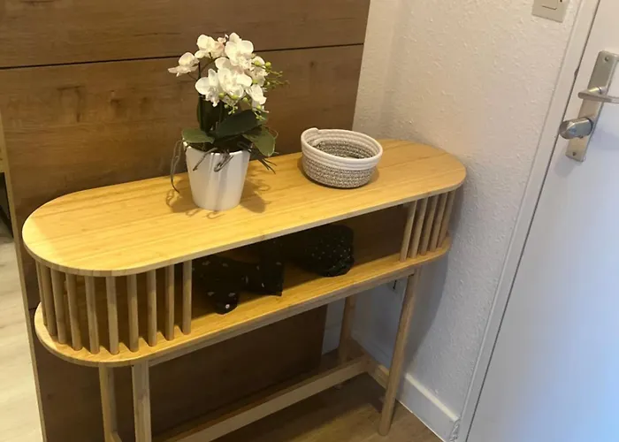 Apartament Petit Cocon Des Rives Proche Stanislas